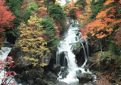 内乡宝天曼举办红叶自驾旅游节