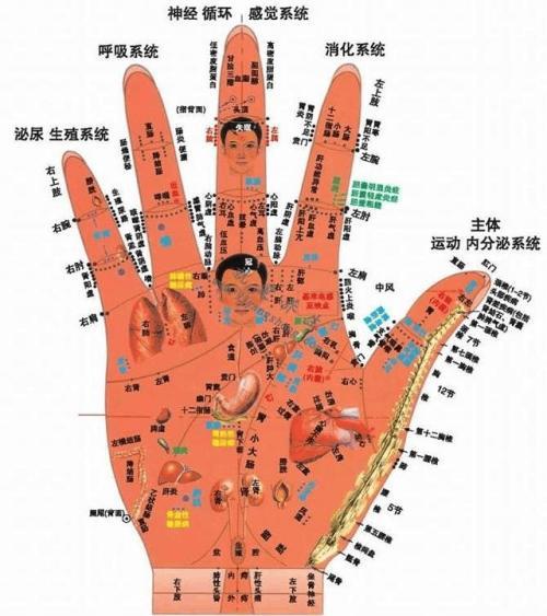 《手诊歌》,好记、好学、好理解,看看手掌,了解自己健康