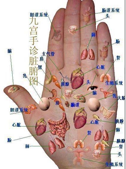《手诊歌》，好记、好学、好理解，看看手掌，了解自己健康