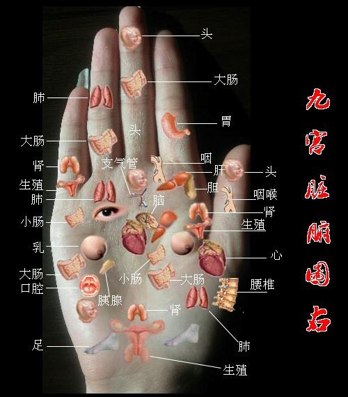 《手诊歌》，好记、好学、好理解，看看手掌，了解自己健康