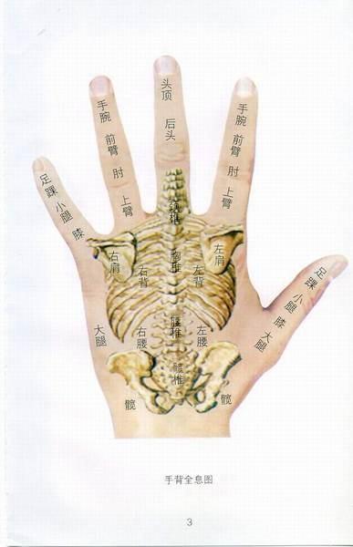 《手诊歌》，好记、好学、好理解，看看手掌，了解自己健康
