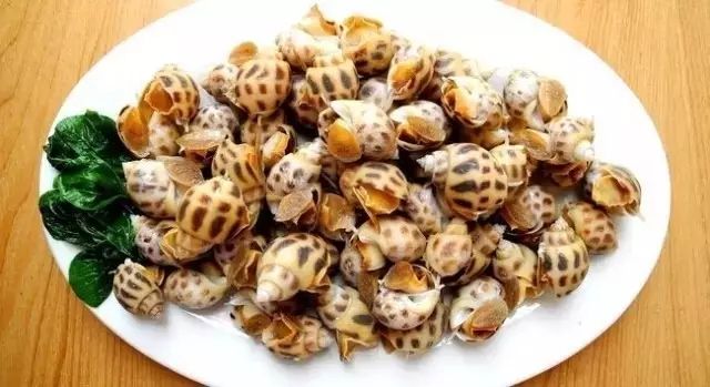哪些食物易含寄生虫？