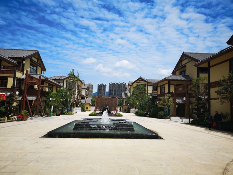 南阳市中医药发展局局长刘玉斌一行调研仲景宛西制药