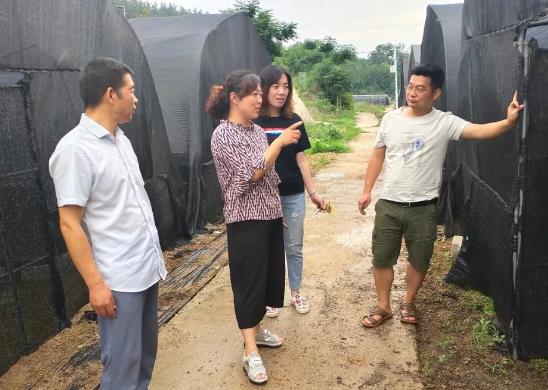 规范管理 科学种植 南阳市推进中药材种植基地规范化建设