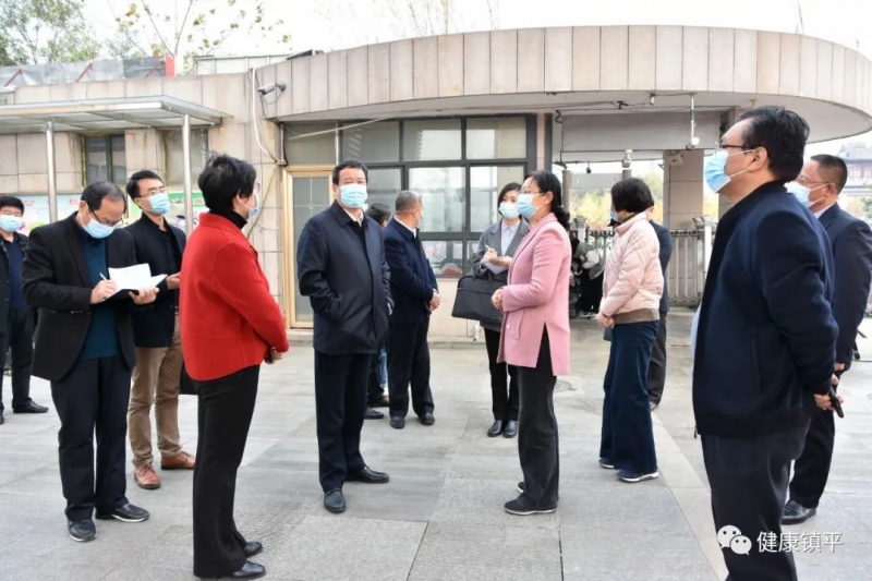 县委副书记,县长黄静,副县长马静,镇平卫健委党组书记,主任吴鹏,副
