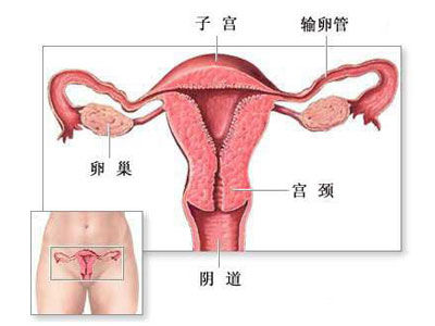 女人避孕