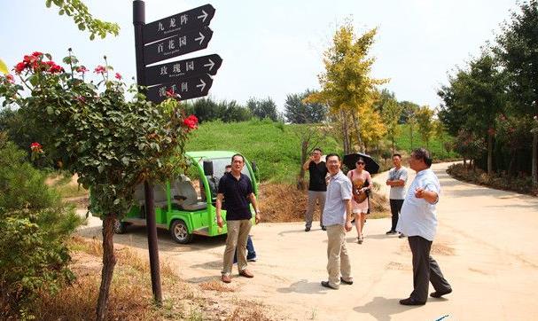 南阳市旅游和外事侨务局副局长张清岑在南阳月季博览园进行实地考察