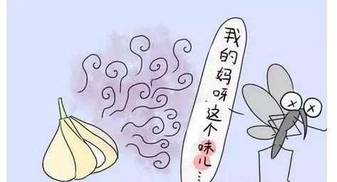 4亿年前就演化出的这种动物，你知道它多少？