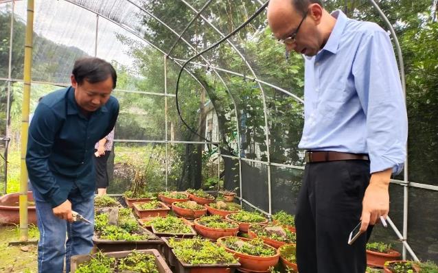 规范管理 科学种植 南阳市推进中药材种植基地规范化建设