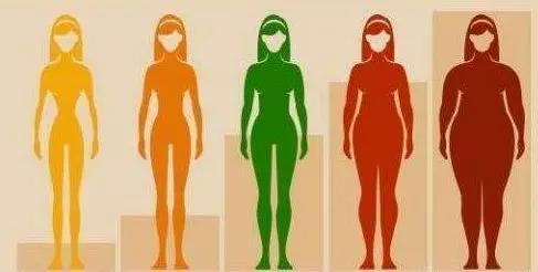 为啥女人先胖腿，男人先胖肚？
