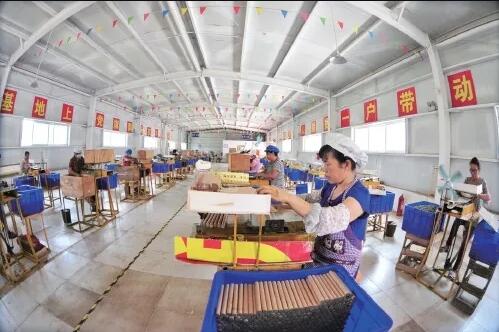 南阳种植艾草24万亩 3万多贫困群众因“艾”脱贫