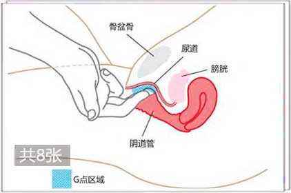 如何正确理解G点