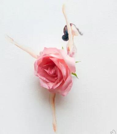 女人私密后花园要怎么保护？