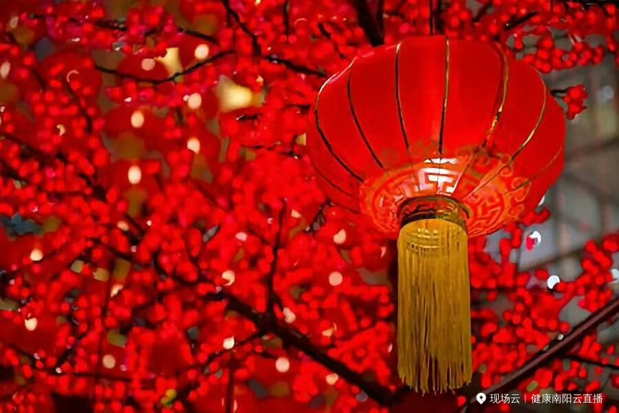 健康南阳直播丨元宵节，今年我们都是追梦人