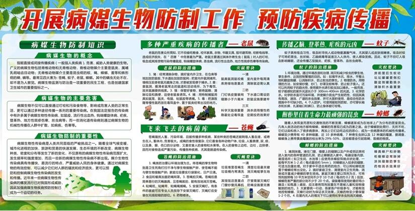 义马市卫健委强化病媒生物防制工作
