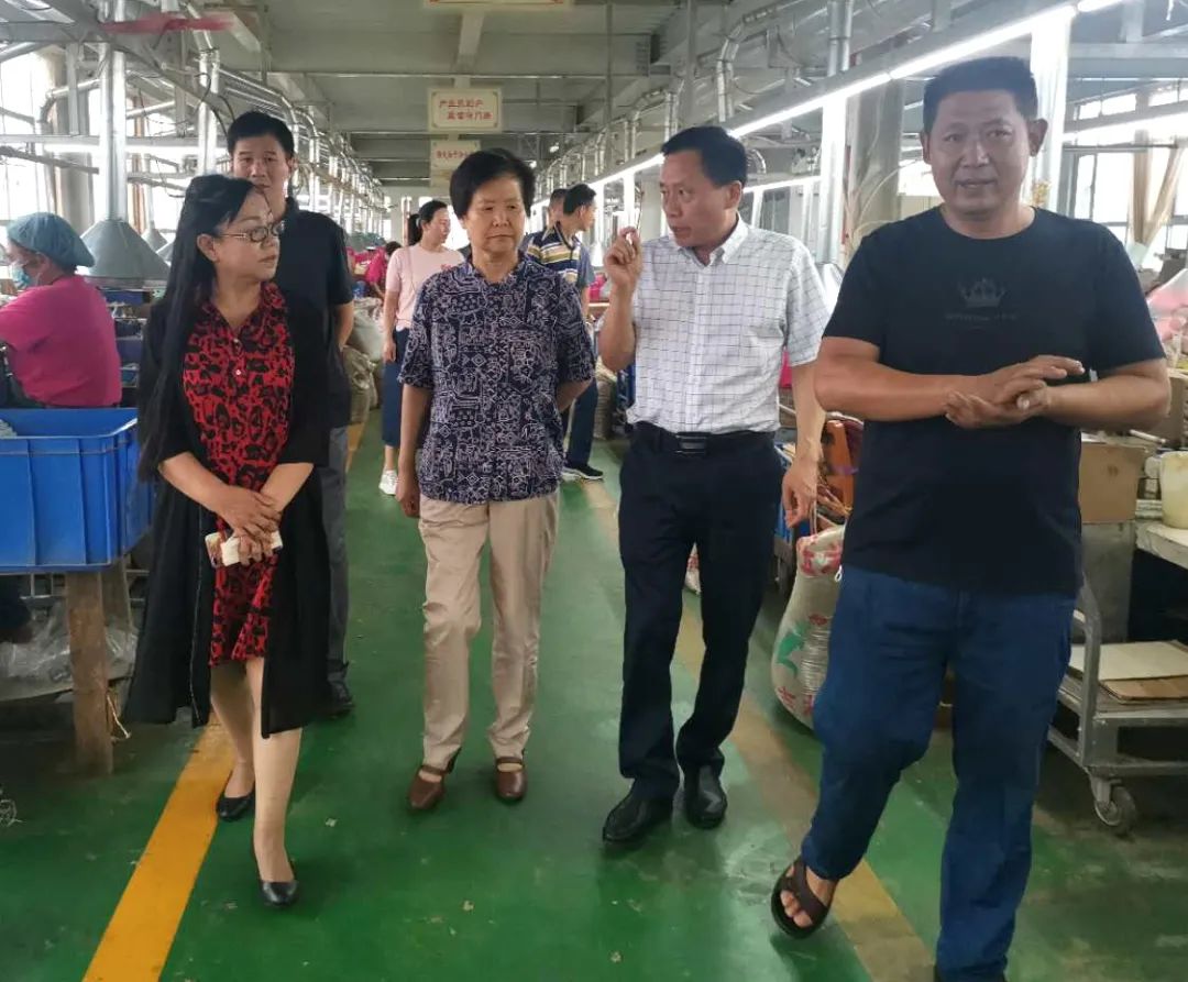 南阳市政协副主席宋蕙调研艾草产业