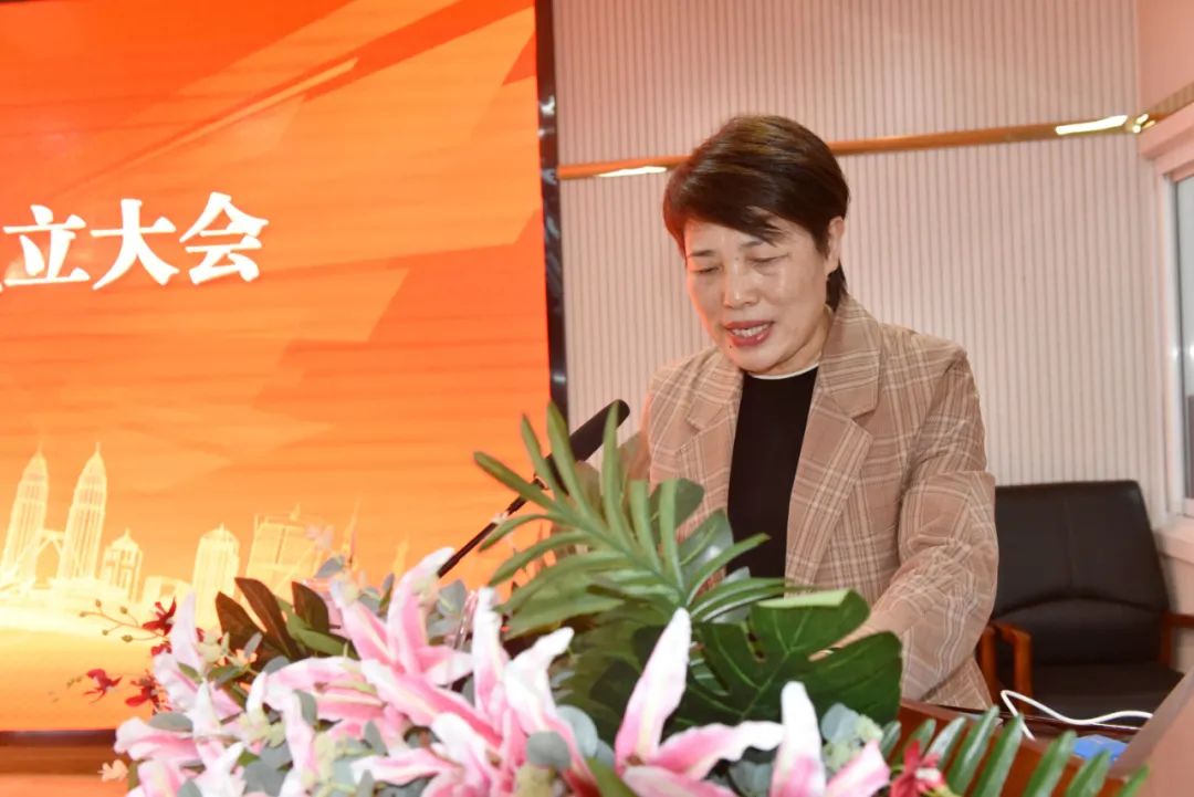 镇平县县级医疗质量控制中心成立