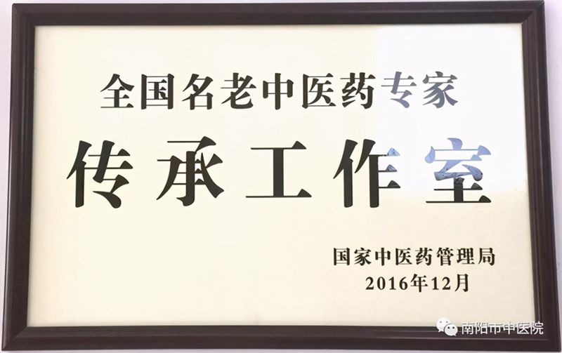 省卫健委对南阳市中医院王心东全国名老中医药专家传承工作室进行评估验收