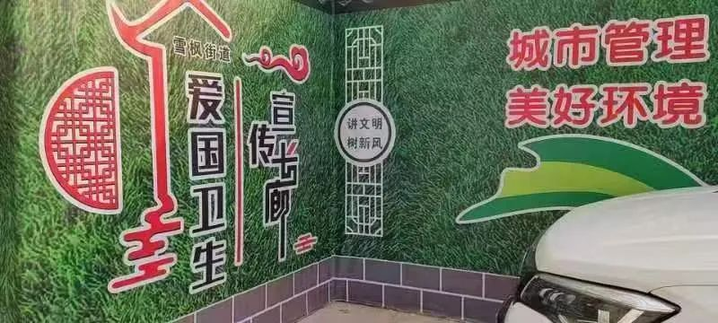 迎新春 美环境 保健康——镇平县积极开展爱国卫生运动 持续巩固疫情防控成果
