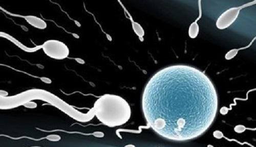 精子质量下降女性或是不孕，或是流产，如何提升男人的精子质量呢？