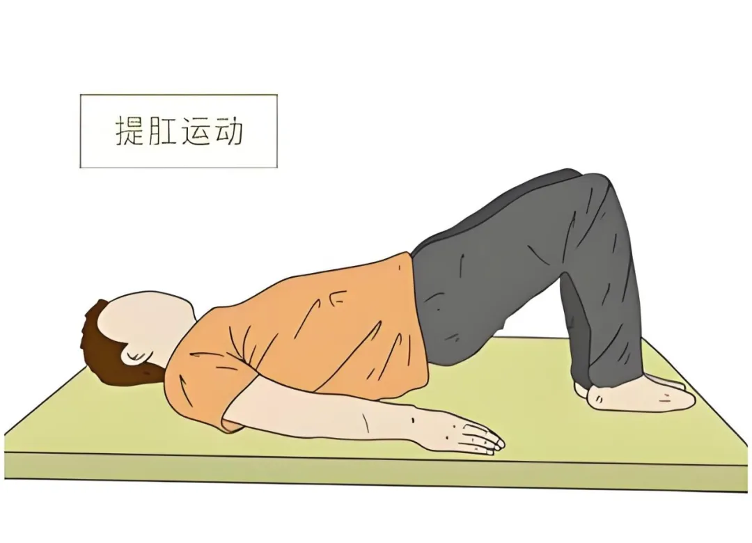 吃对、动够、睡足，全方位呵护肠道健康