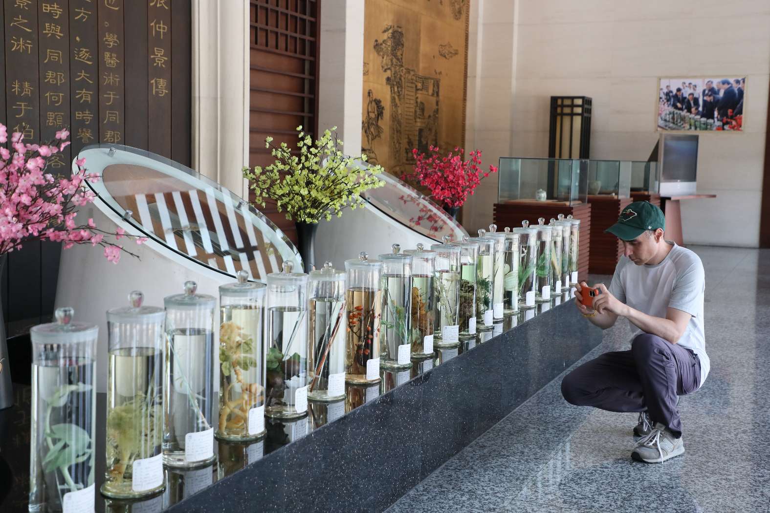 仲景之光 “新”耀世界丨仲景宛西制药用新质生产力“熬”出中药新未来