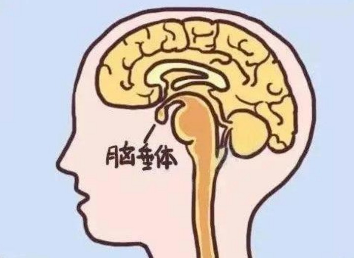 你家孩子又长高了吗？
