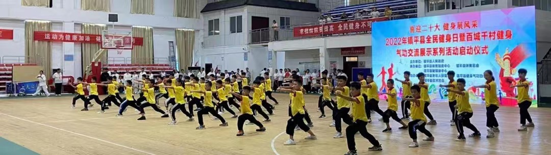 展示健身魅力 激发健身热情——2022年镇平县全民健身日启动
