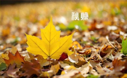 秋燥？秋天的养生重点就是“养阴润燥”