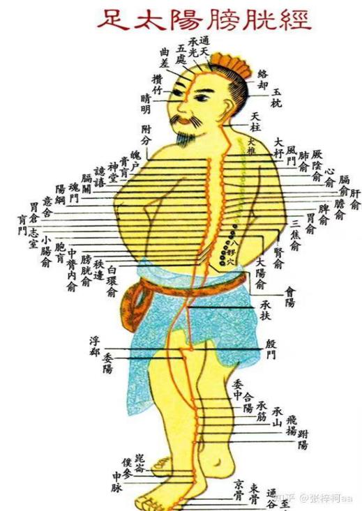 五处穴：头痛、目眩、视力减退