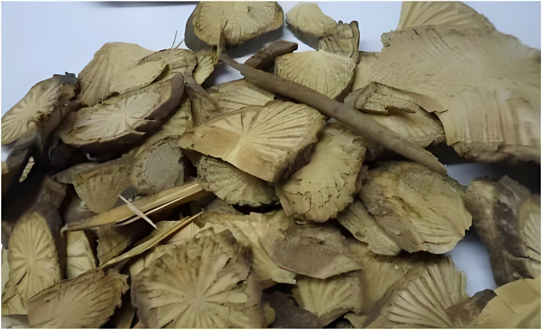 丁公藤：祛风湿，消肿止痛