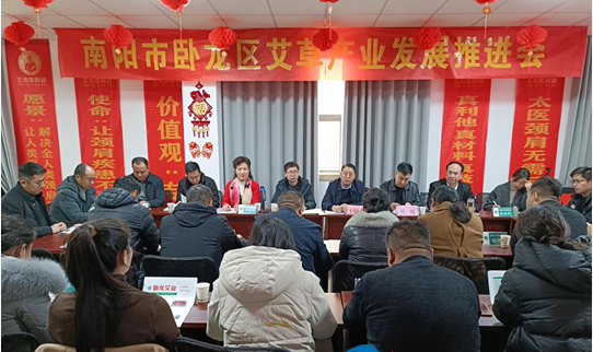 南阳市卧龙区艾草产业：特色产业引领地方经济发展